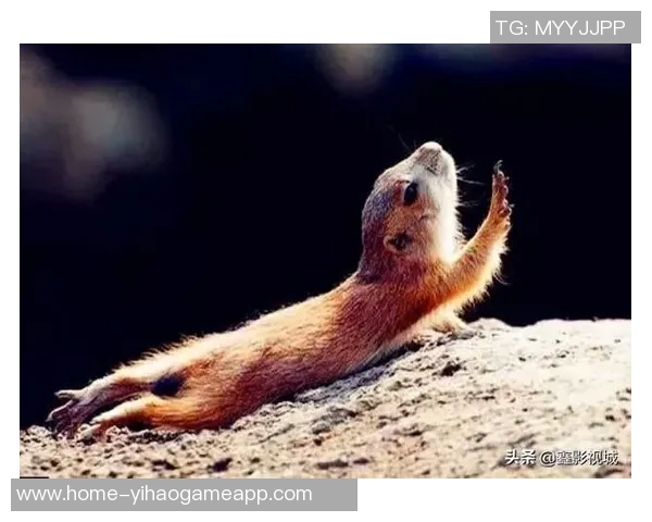 足球场上的搞笑瞬间集锦让你捧腹大笑的精彩时刻回顾